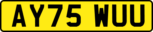 AY75WUU