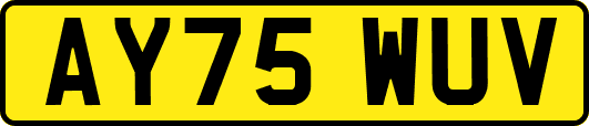 AY75WUV