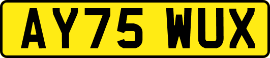 AY75WUX