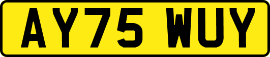 AY75WUY