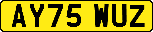 AY75WUZ