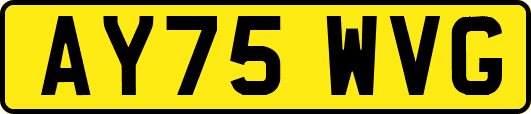 AY75WVG