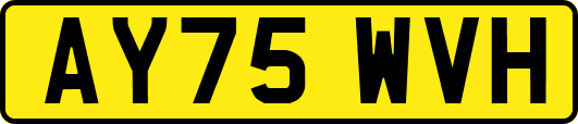 AY75WVH