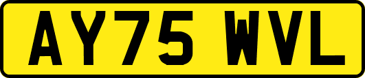 AY75WVL
