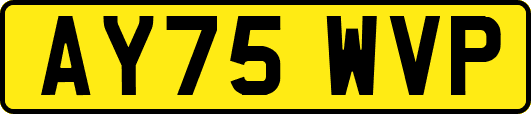 AY75WVP