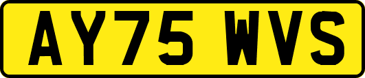 AY75WVS