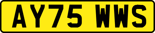 AY75WWS