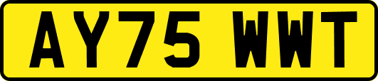 AY75WWT