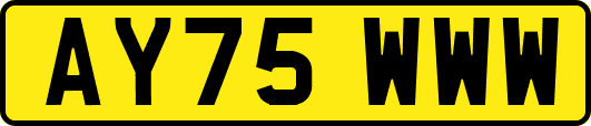 AY75WWW