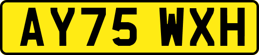 AY75WXH