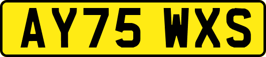 AY75WXS