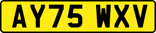AY75WXV