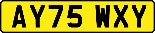 AY75WXY