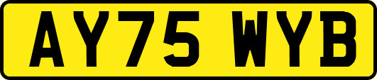AY75WYB