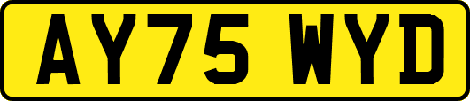 AY75WYD