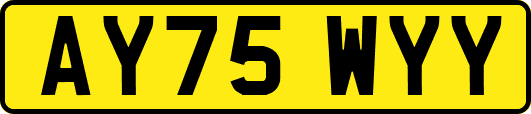 AY75WYY