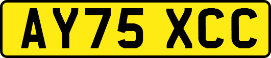 AY75XCC
