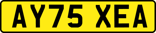 AY75XEA