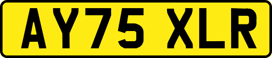 AY75XLR