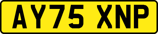AY75XNP