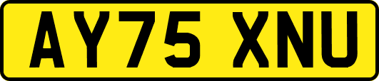 AY75XNU