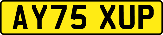 AY75XUP