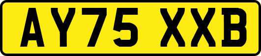 AY75XXB