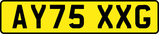 AY75XXG