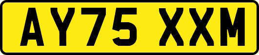 AY75XXM