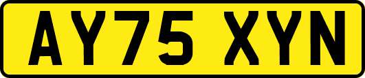 AY75XYN
