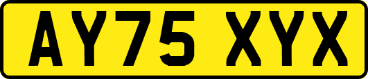 AY75XYX