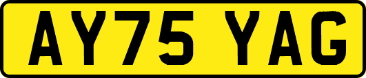 AY75YAG