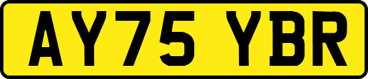 AY75YBR