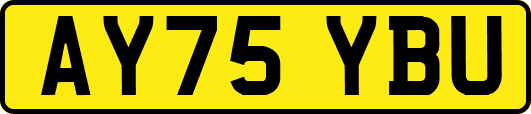 AY75YBU