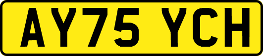 AY75YCH