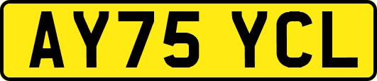AY75YCL