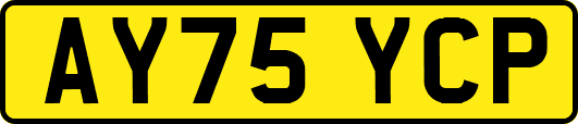 AY75YCP