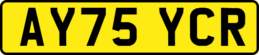 AY75YCR