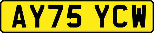 AY75YCW