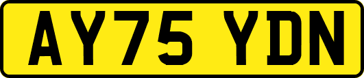 AY75YDN