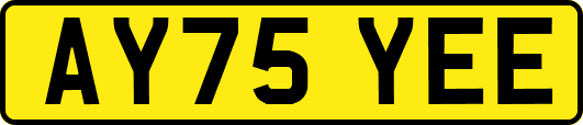 AY75YEE
