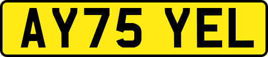 AY75YEL