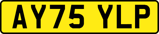 AY75YLP