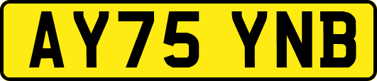 AY75YNB