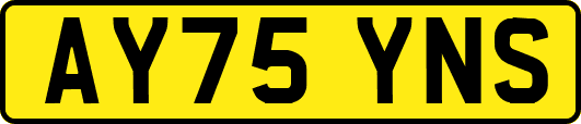 AY75YNS