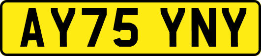AY75YNY
