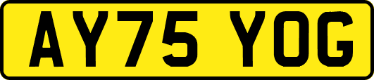 AY75YOG