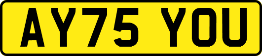 AY75YOU