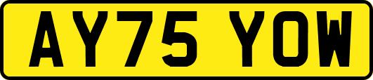 AY75YOW