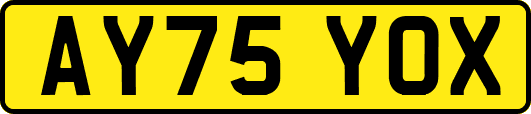 AY75YOX